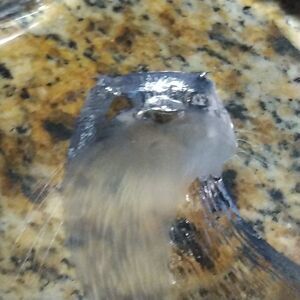 River Otter Etched Crystal Sculpture by Mats Jonasson